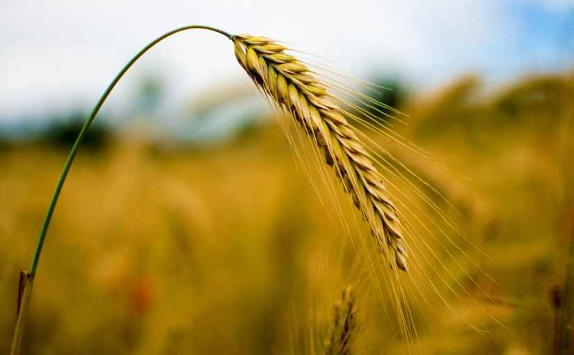 The Sound of Her&nbsp;Silence